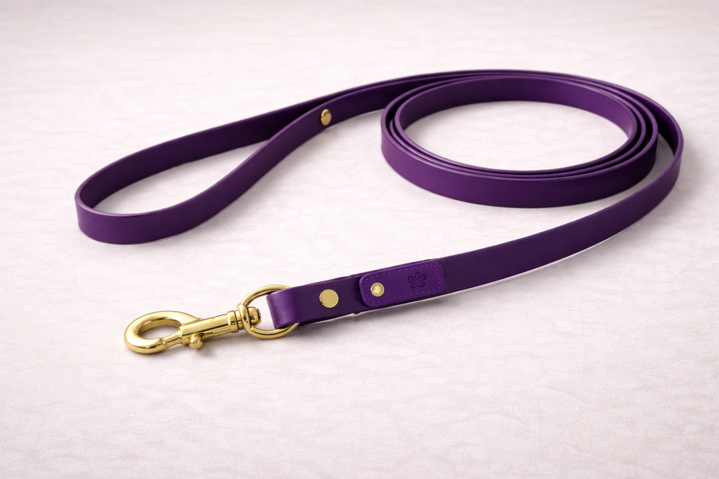 Laisse pour chien en Biothane