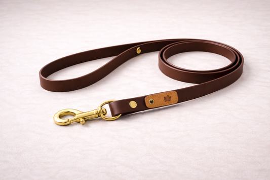 Laisse pour chien en Biothane