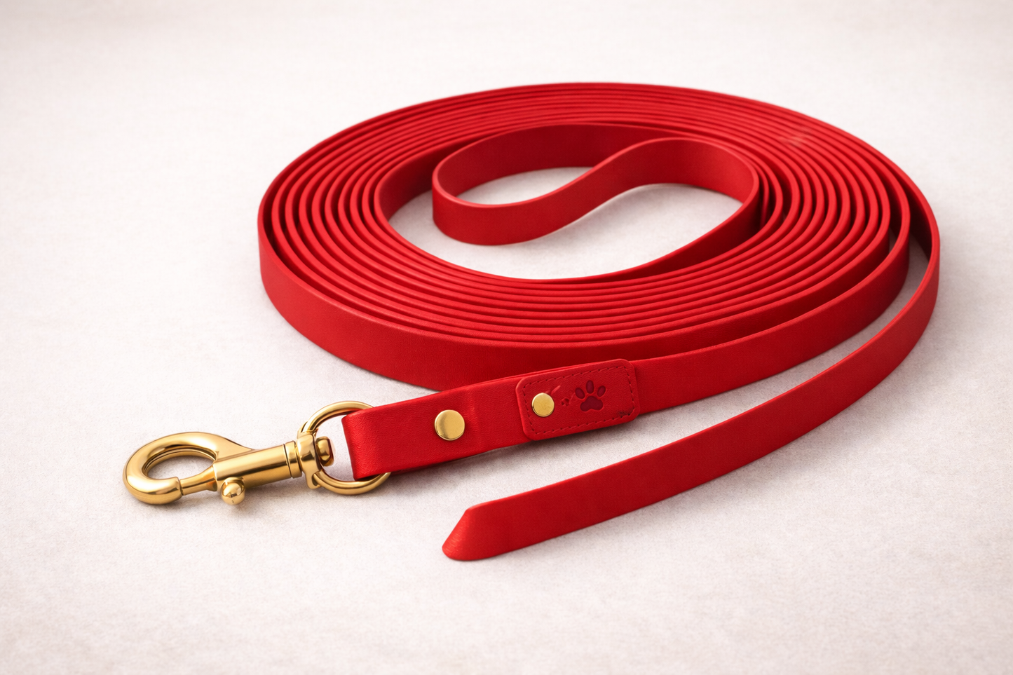 Longe d'éducation pour chien en Biothane