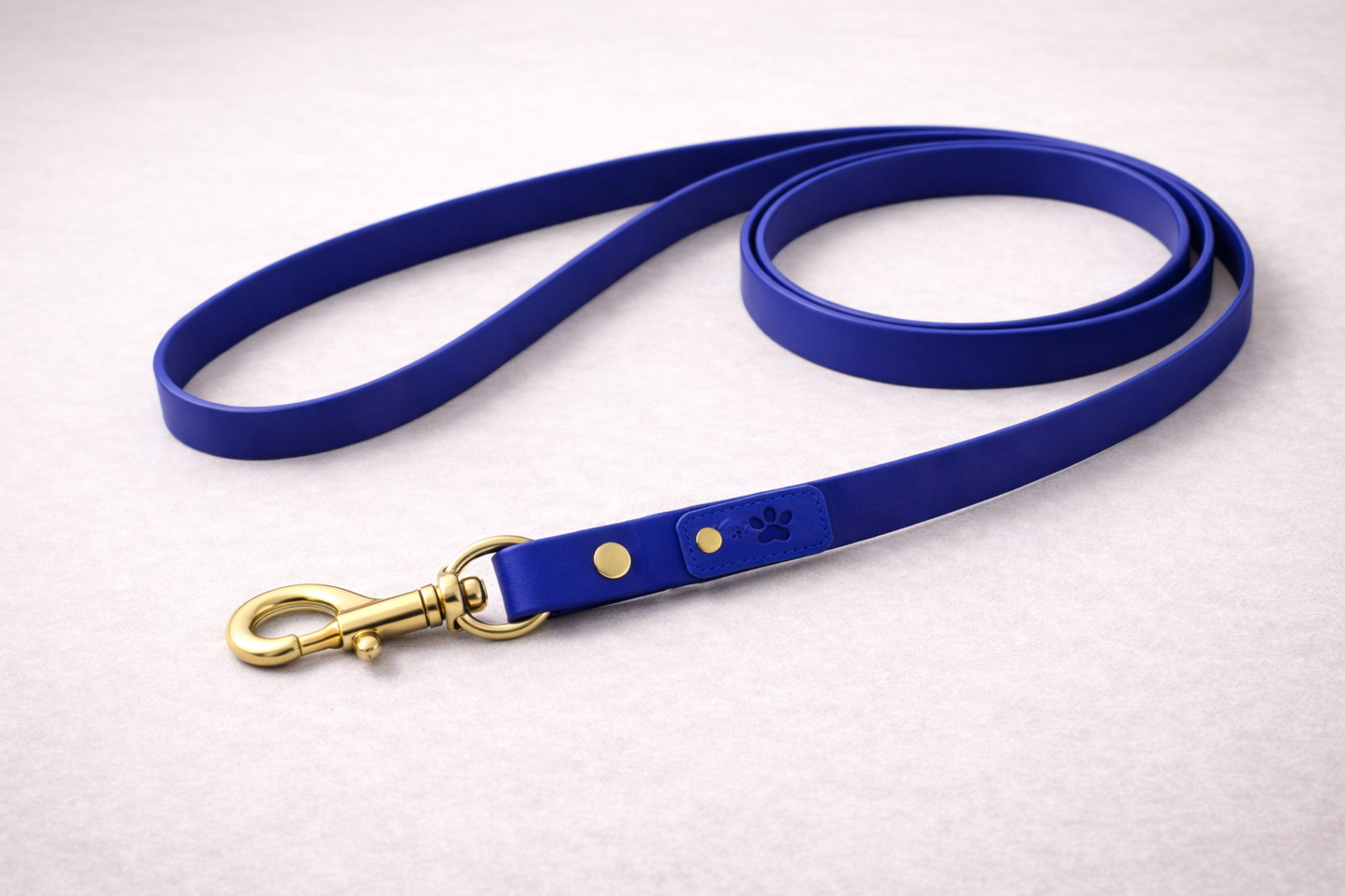 Laisse pour chien en Biothane