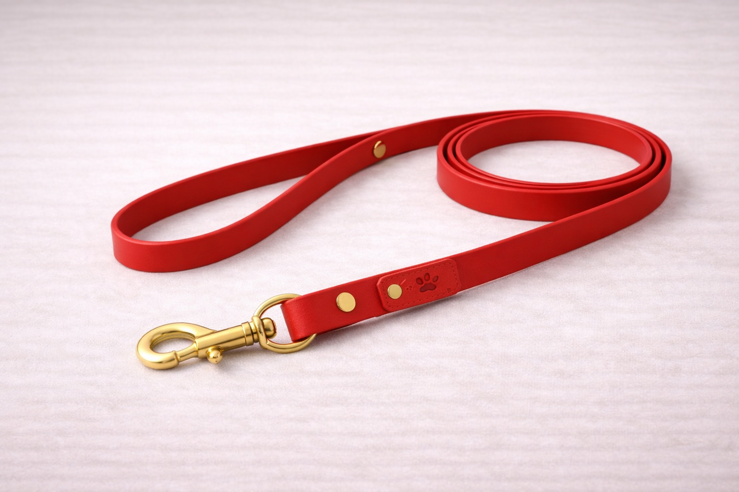 Laisse pour chien en Biothane